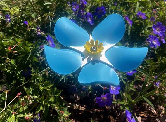 Petals of Remembrance