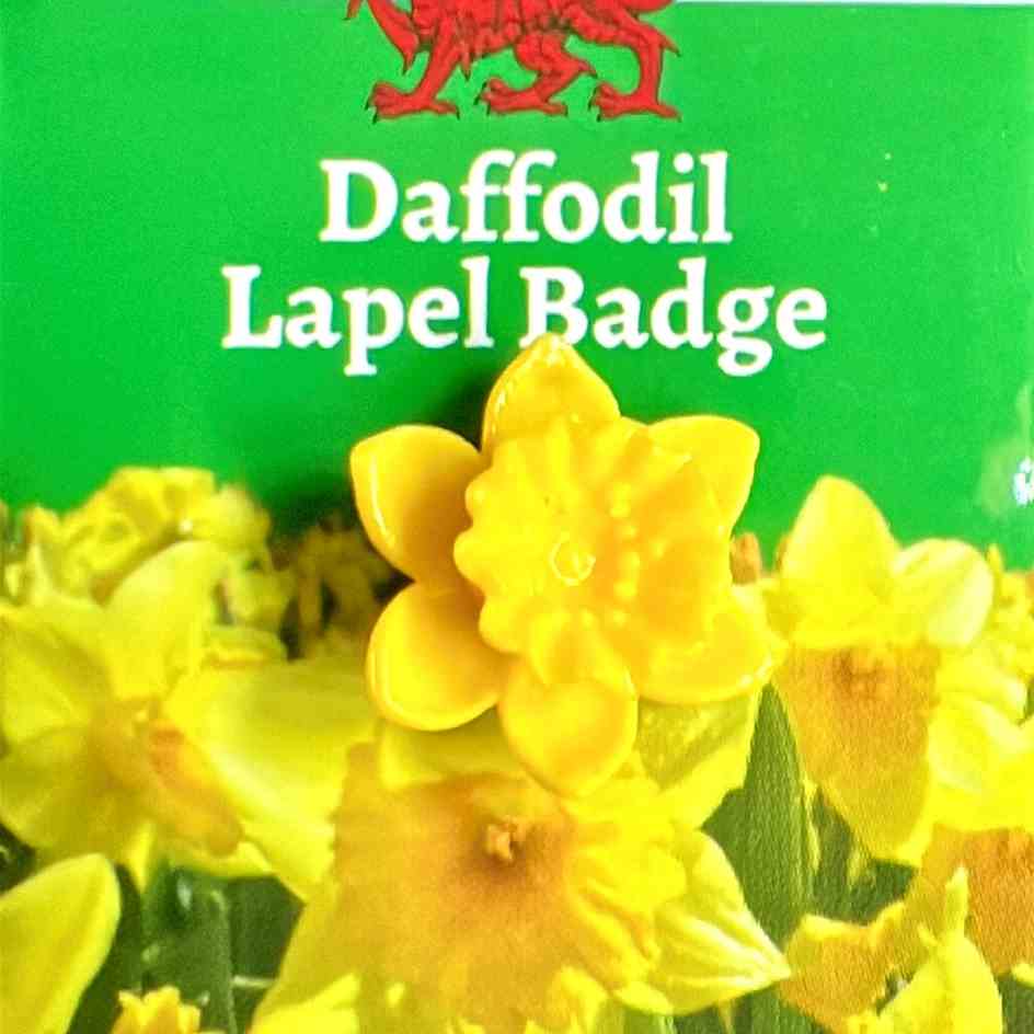 Daffodil Pin Badge