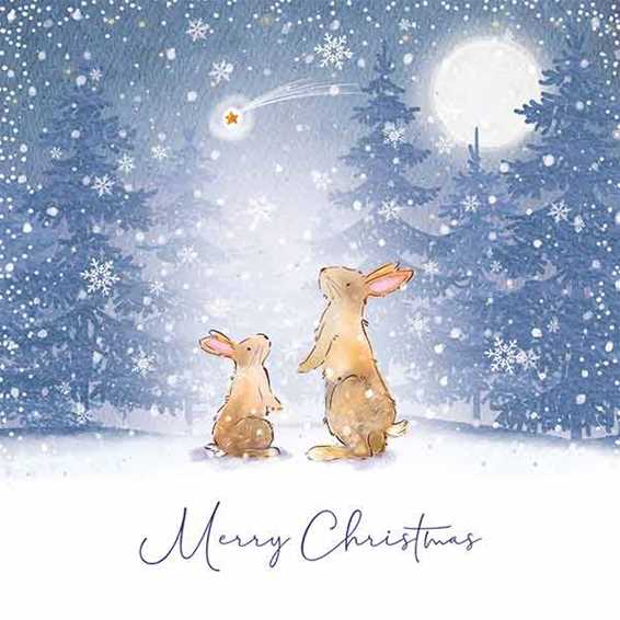 Pack of 10 - 'Watching the Star' Silver Foil Christmas Cards