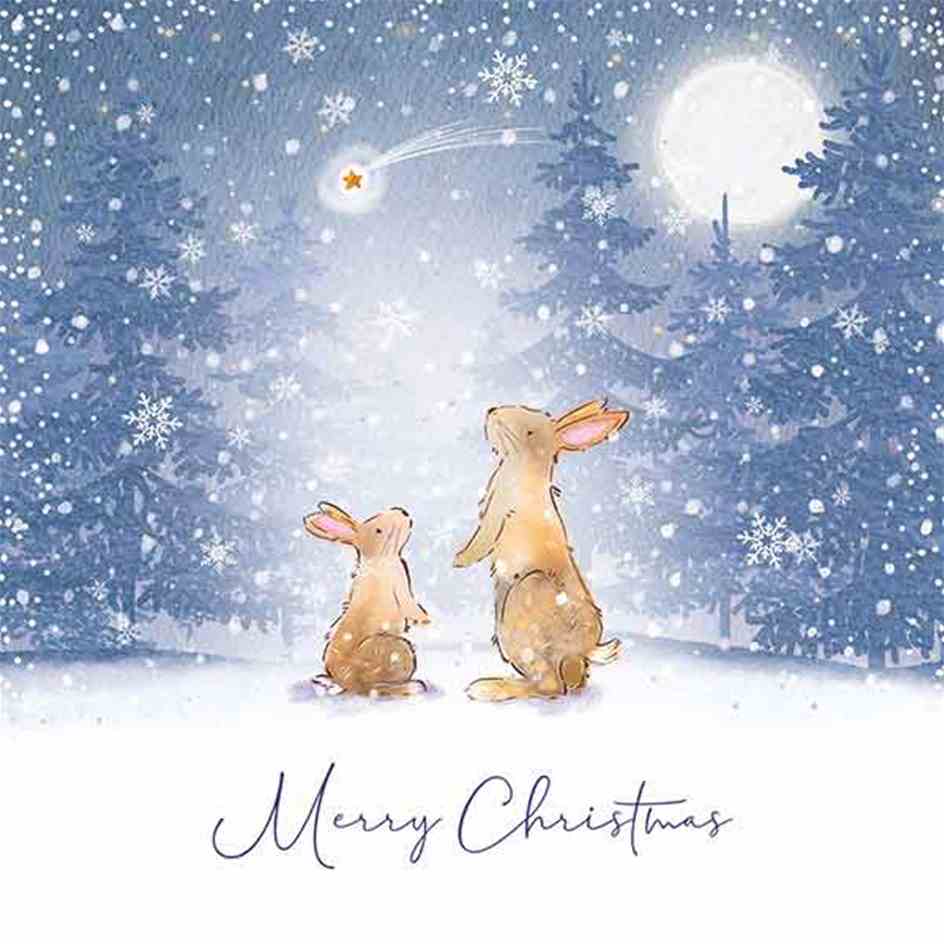 Pack of 10 - 'Watching the Star' Silver Foil Christmas Cards