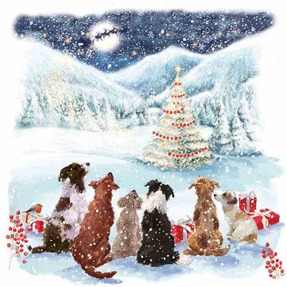 Pack of 10 - 'Waiting for Santa's treats' Red Foil Christmas Cards