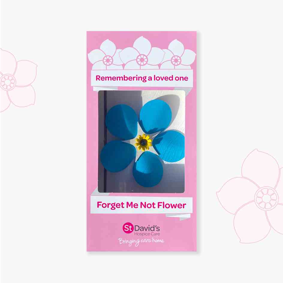 Forget me not Flower